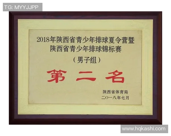 深圳排球队在全国排球战术排行榜中荣获第七名的辉煌成就分析